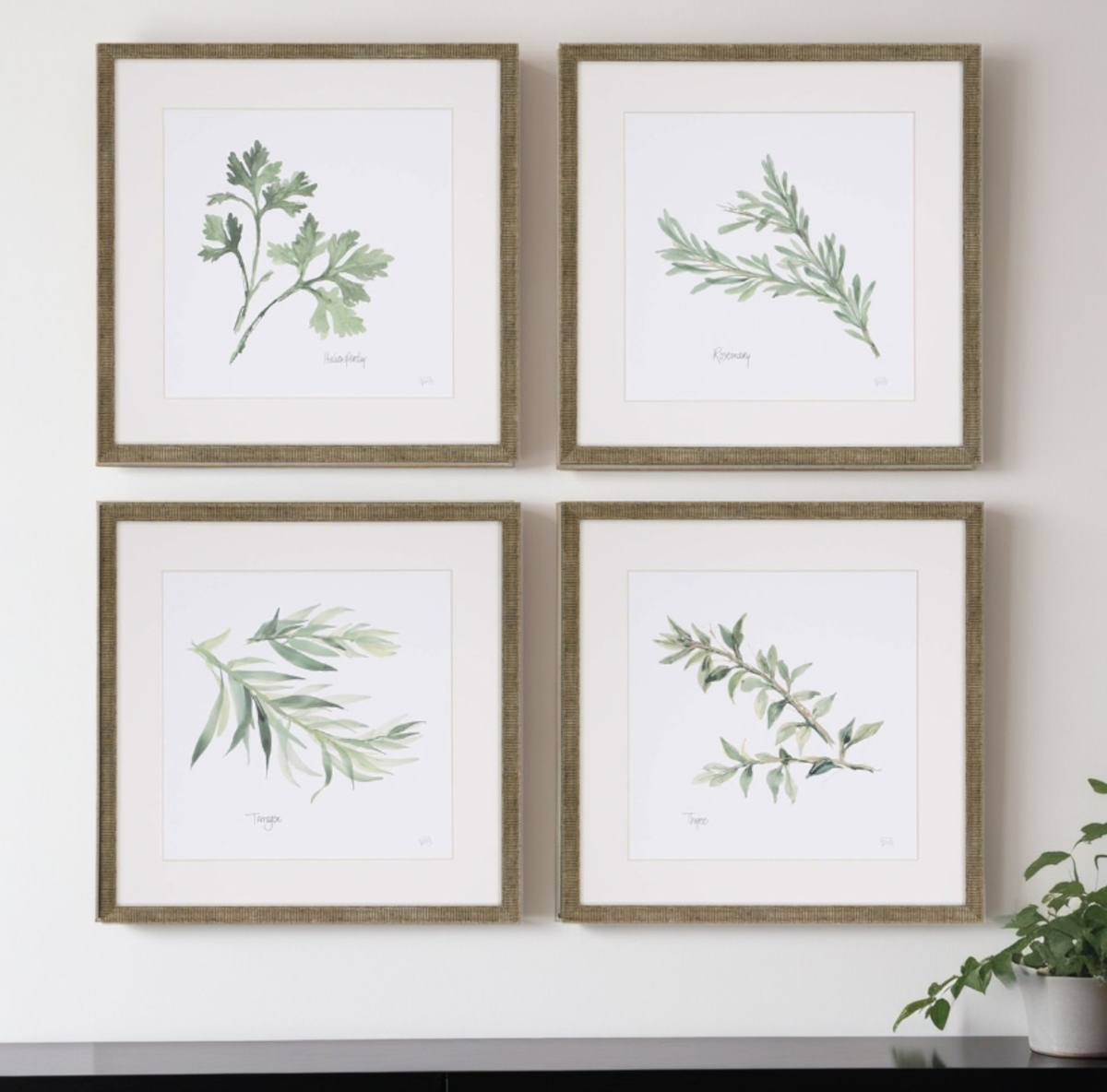416717 Herbs Gold Framed Print Wall Art, Set of 4