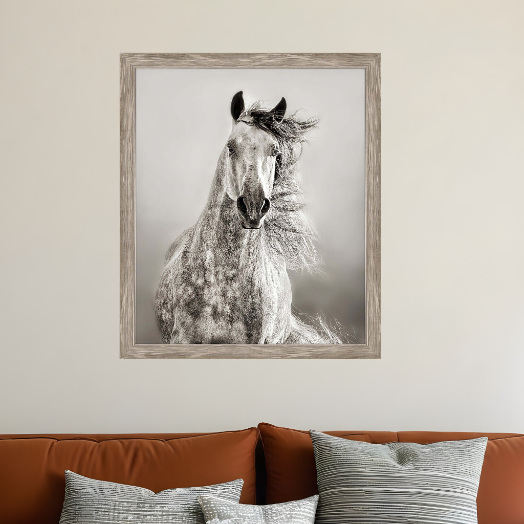 525767 Caballo De Andaluz Silver Framed Print Wall Art