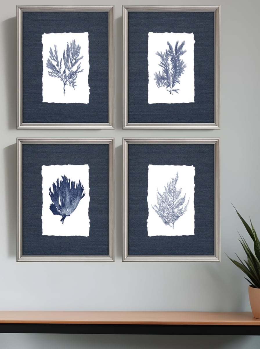 416718 Coral Silver Framed Print Wall Art, Set of 4