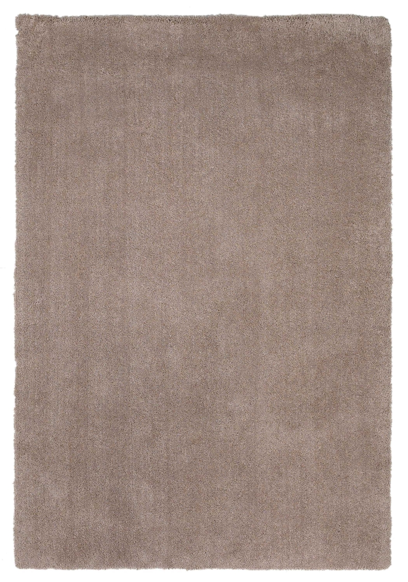 353420 27 x 45 in. Polyester Beige Area Rug