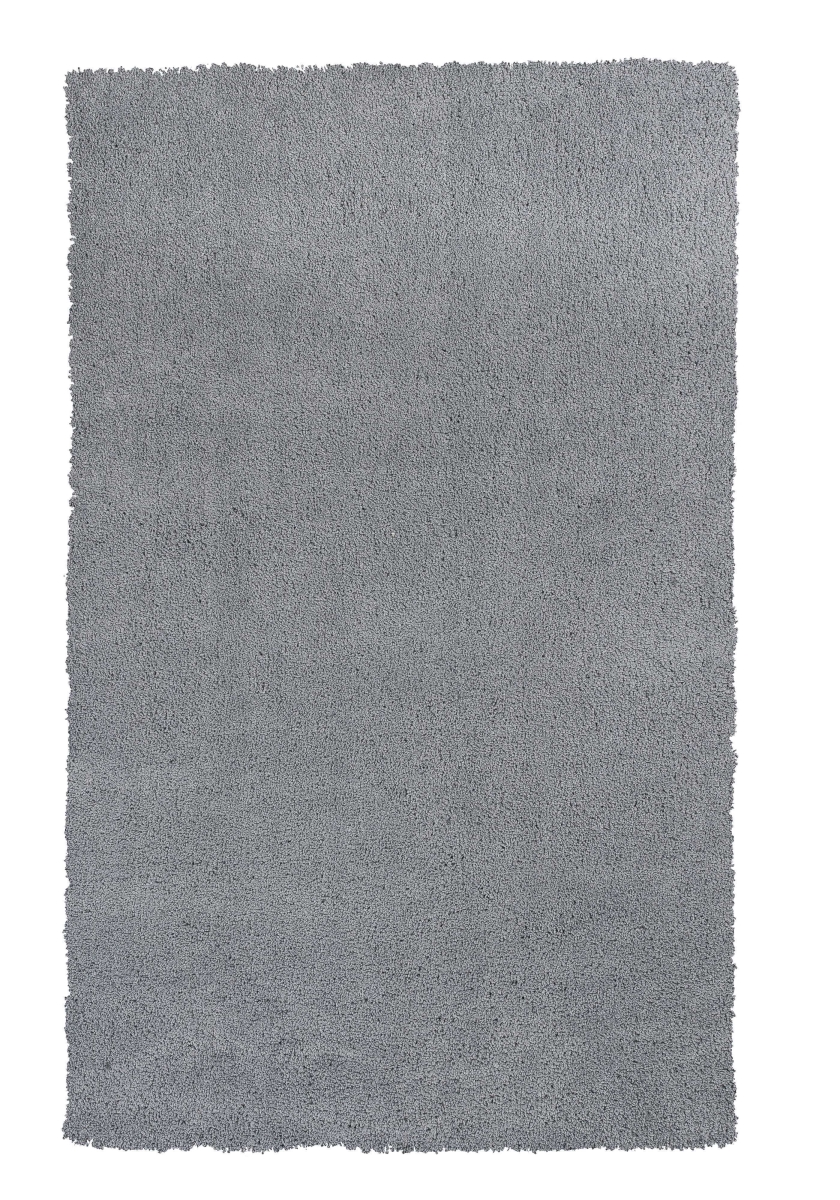 27 x 45 in. Polyester Grey Area Rug