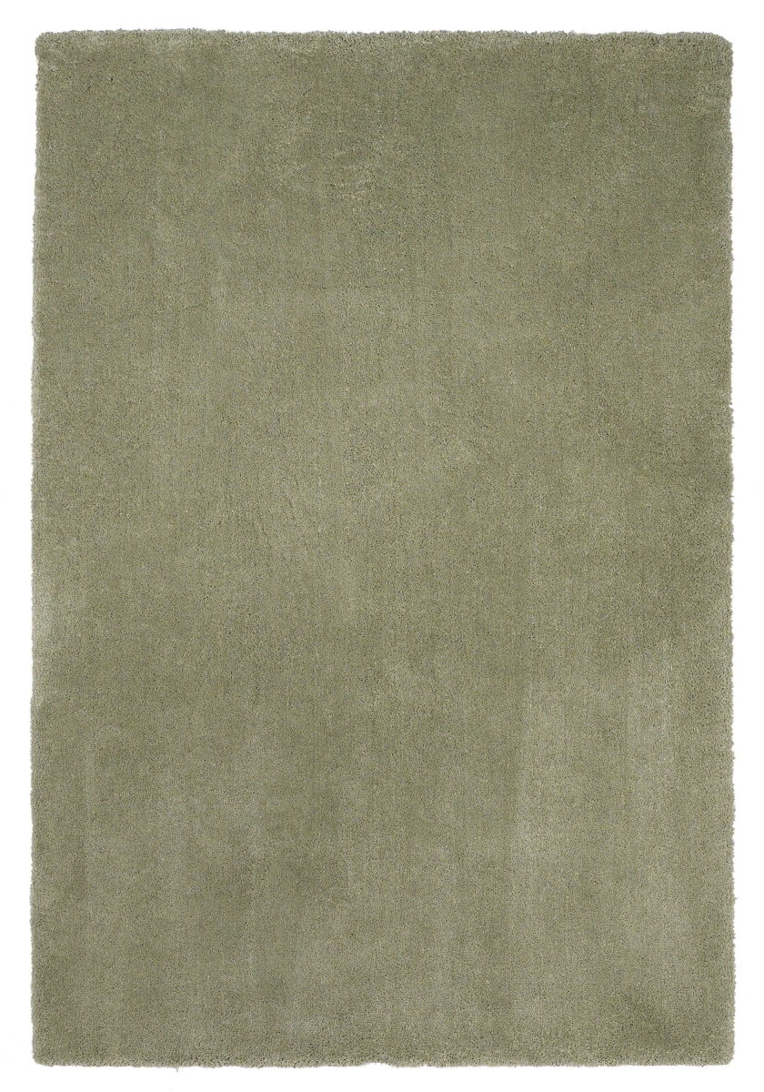 3 ft. 3 in. x 5 ft. 3 in. Polyester Sage Area Rug