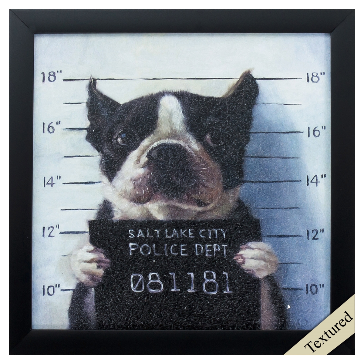 365897 11 x 11 in. Black Frame Mug Shot Wall Decor