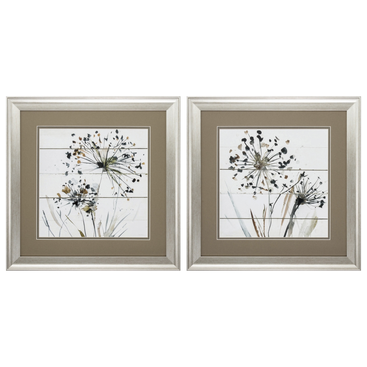 19 x 19 in. Brushed Silver Frame Natures Lace Wall Decor, Set of 2