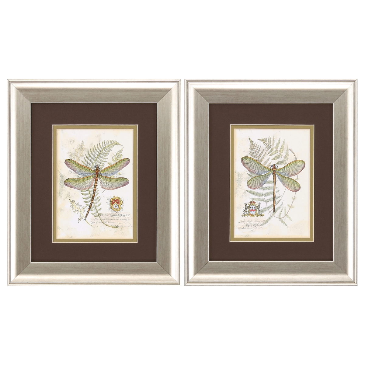 365137 11 x 13 in. Brushed Silver Frame Dragonfly Wall Decor, Set of 2