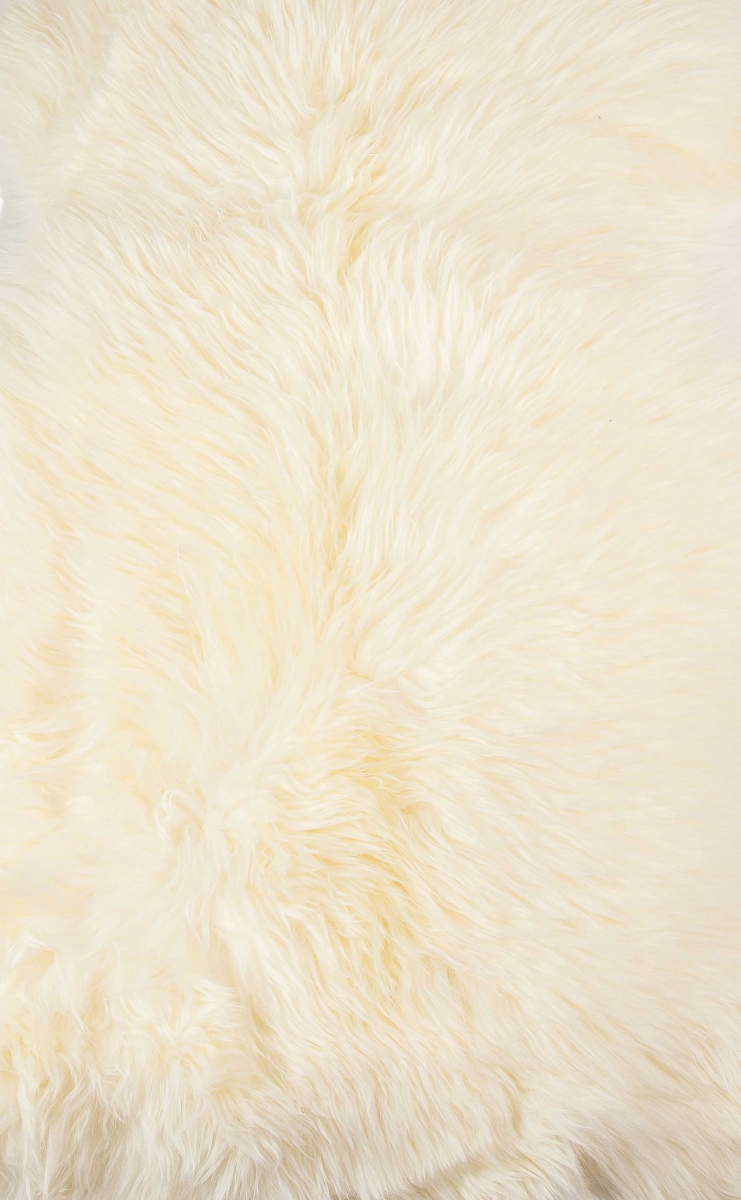 Picture of HomeRoots 376919 Ivory New Zealand Natural Shearling Sheepskin Rug