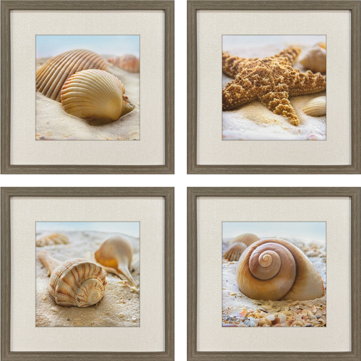 618808 Beachy Shells Brown Framed Wall Art - Set of 4