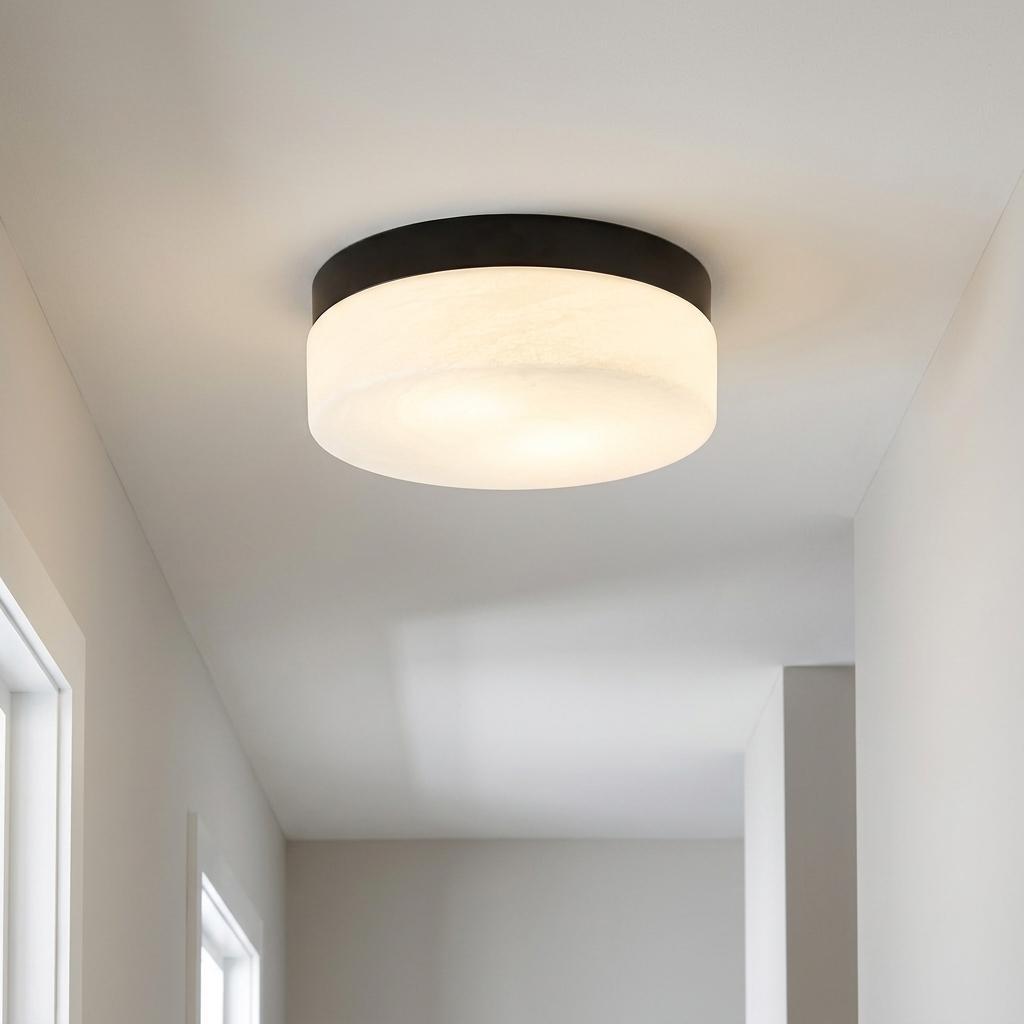 721968 11 in. Black Metal & Frosted Glass Flush Mount Ceiling Light
