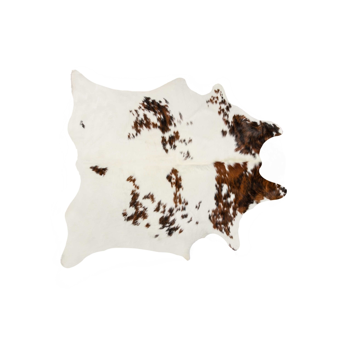 0.25 x 6 x 7 in. Kobe Exotic Cowhide Rug  Tricolor