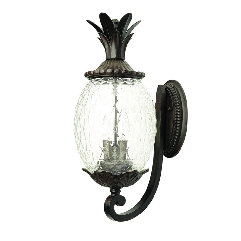 Picture of HomeRoots 398401 18 x 7.5 x 10 in. Lanai 2-Light Black Coral Wall Light