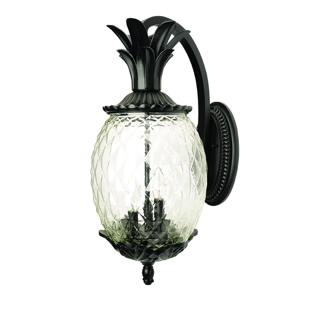 Picture of HomeRoots 398404 18 x 7.5 x 10 in. Lanai 2-Light Matte Black Wall Light