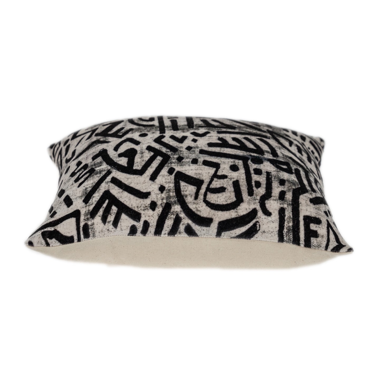 16 x 16 x 5 in. Black & White Abstract Velvet Throw Pillow