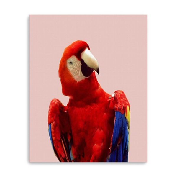 20 in. Vibrant & Vivid Bird Canvas Wall Art, Red