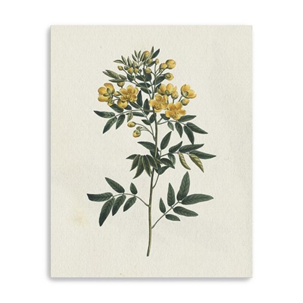 20 in. Singular Yellow Blossom Branch Canvas Wall Art, Natural