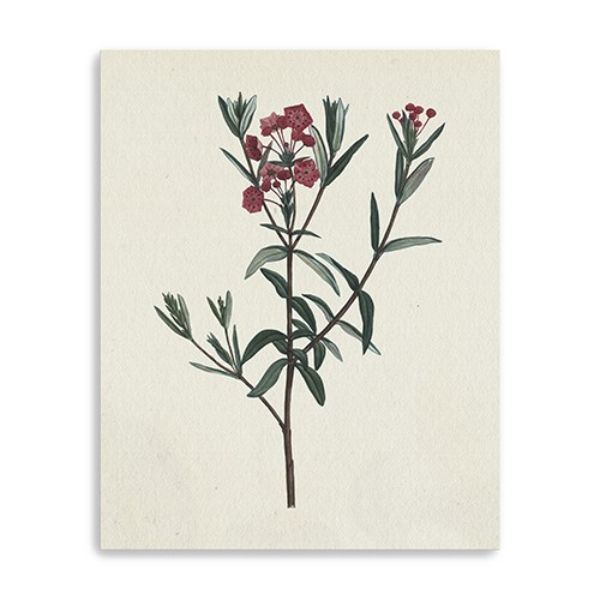 30 in. Singular Red Blossom Branch Canvas Wall Art, Natural
