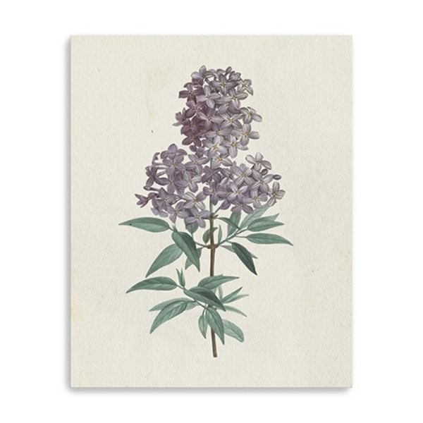 20 in. Singular Purple Blossom Branch Canvas Wall Art, Natural