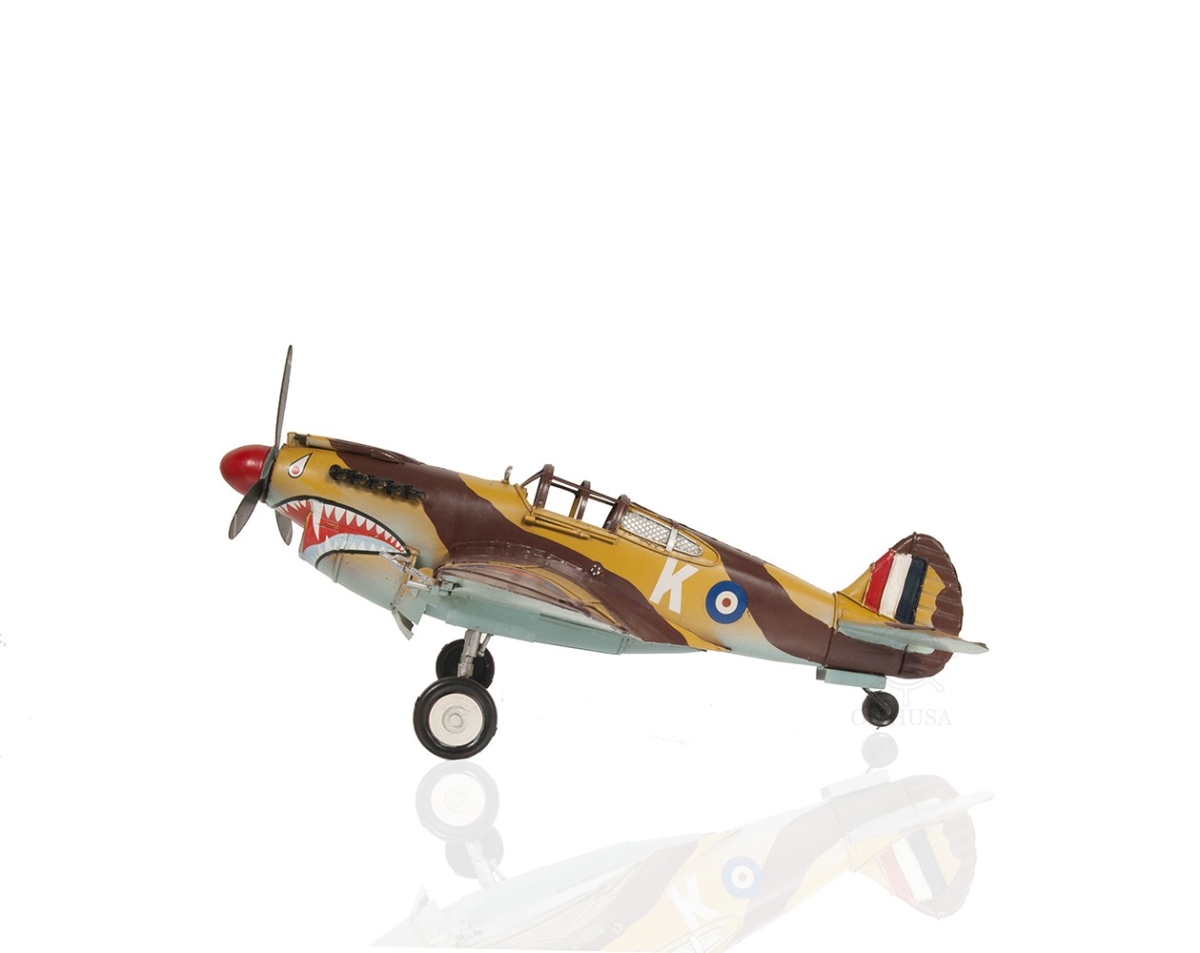 C1941 Curtiss Hawk 81A Large Sculpture