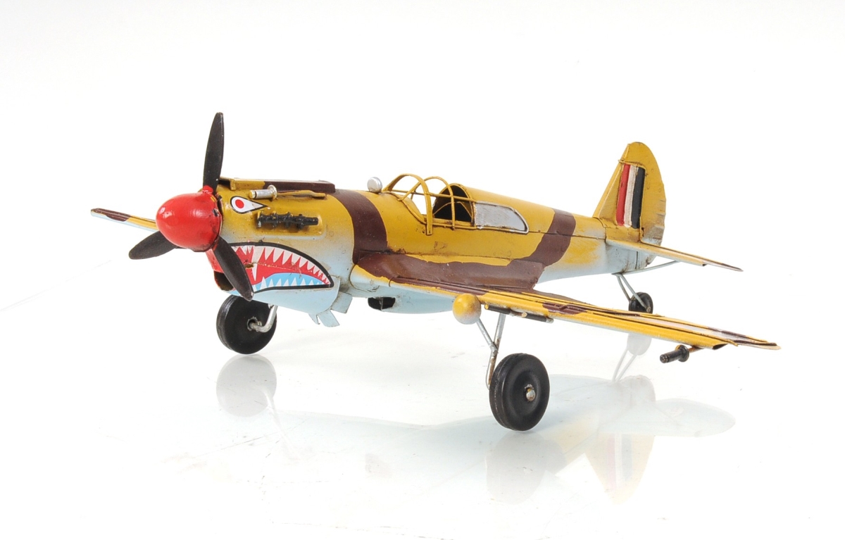 Picture of HomeRoots 401095 C1941 Curtiss Hawk 81A Sculpture