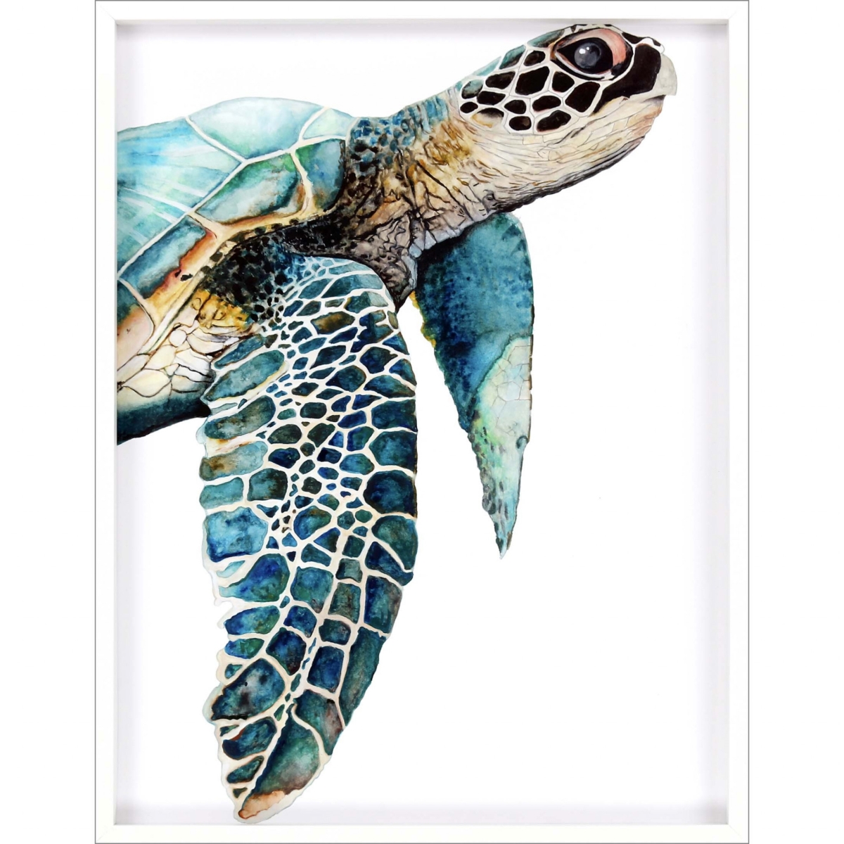 Great Sea Turtle White Print Shadowbox Framed Wall Art, Turquoise