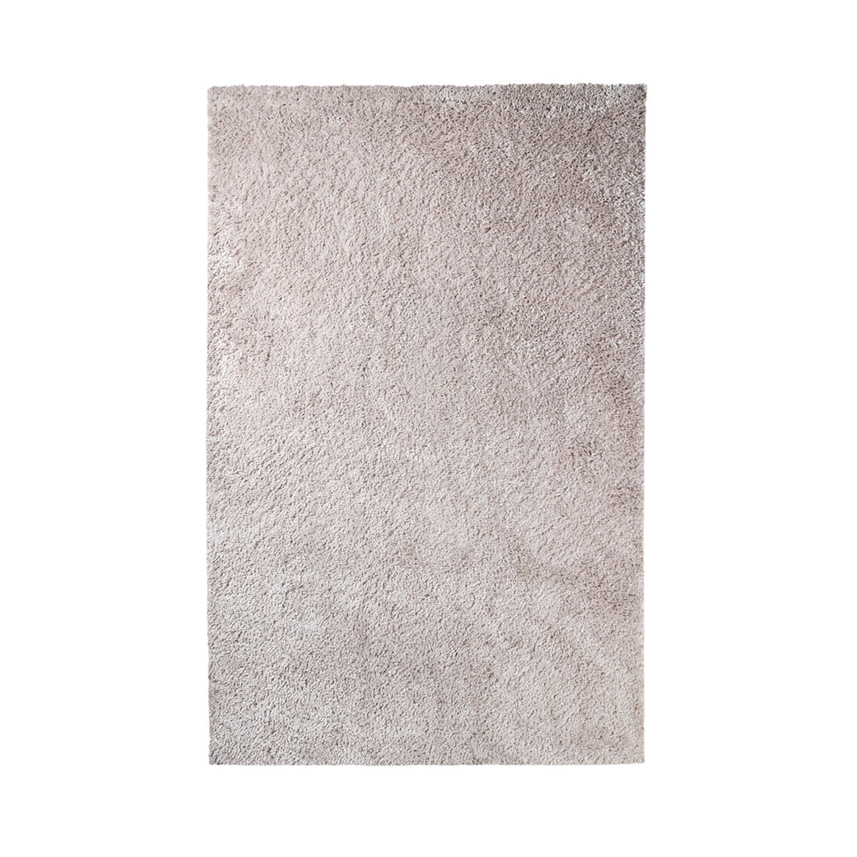 4 x 6 ft. Shag Stain Resistant Rectangle Area Rug - Beige