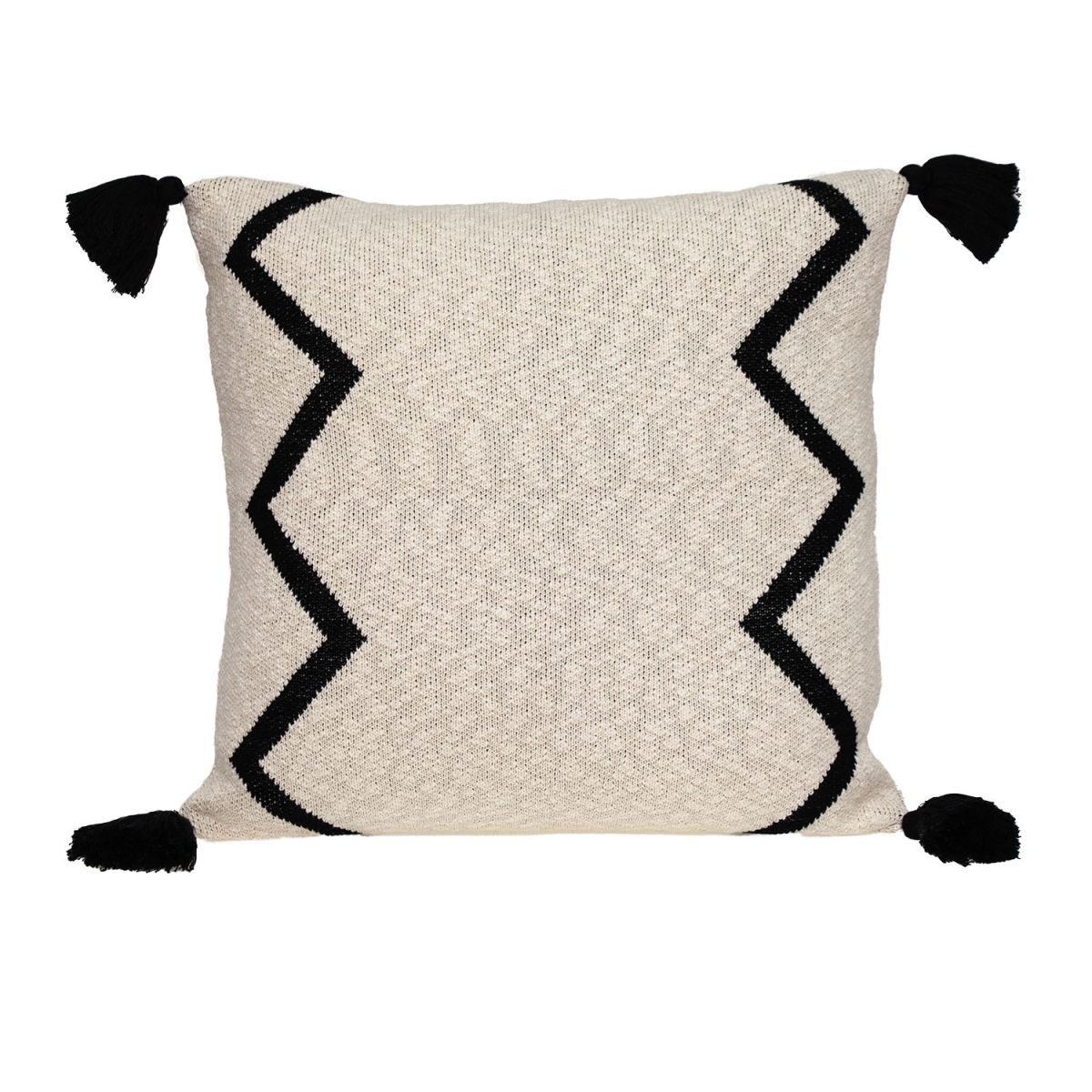 20 x 20 in. Zigzag Pattern Square Accent Throw Pillow with Tassel, Black & Cream