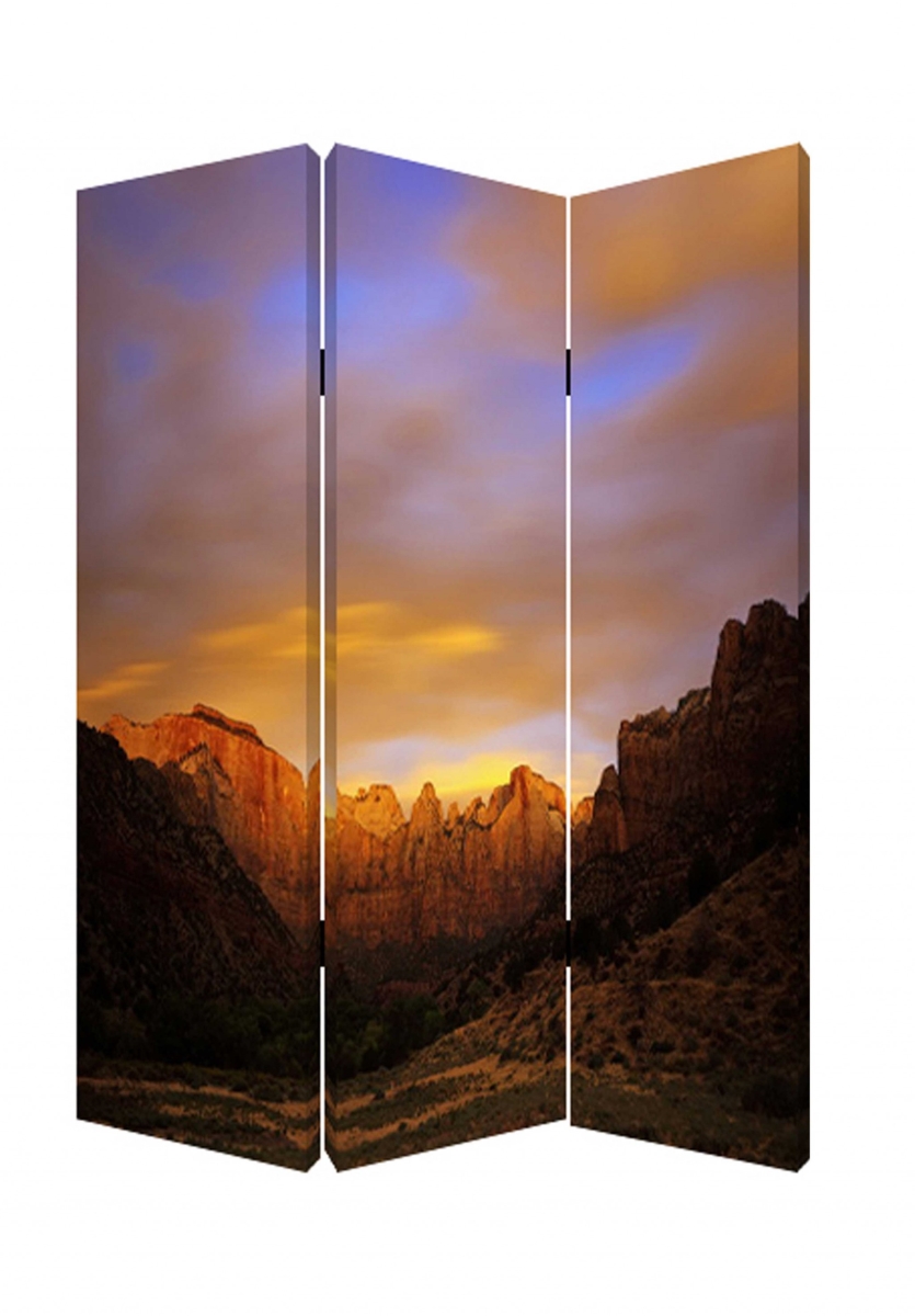 1 x 48 x 72 in. Wood Canvas Desert Screen, Multi Color