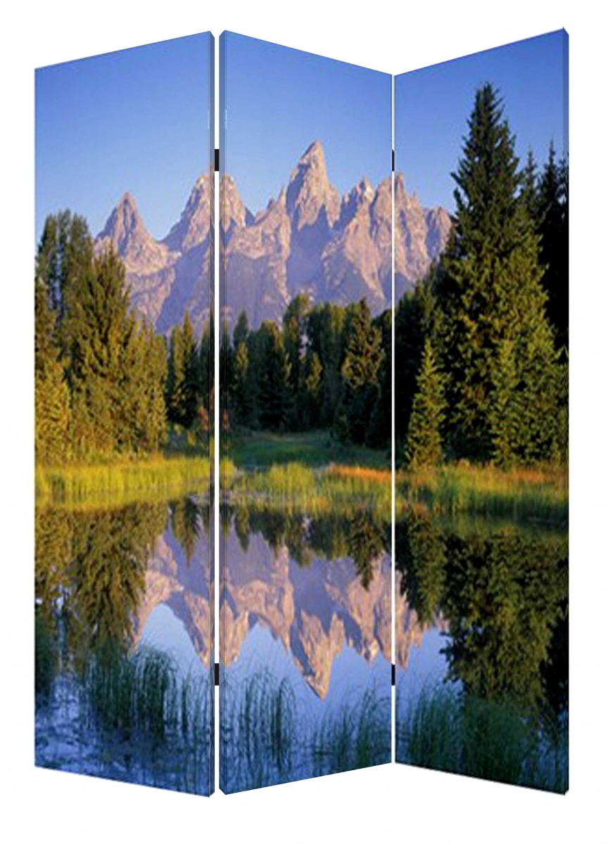 1 x 48 x 72 in. Wood Canvas Mountain Peaks Screen, Multi Color
