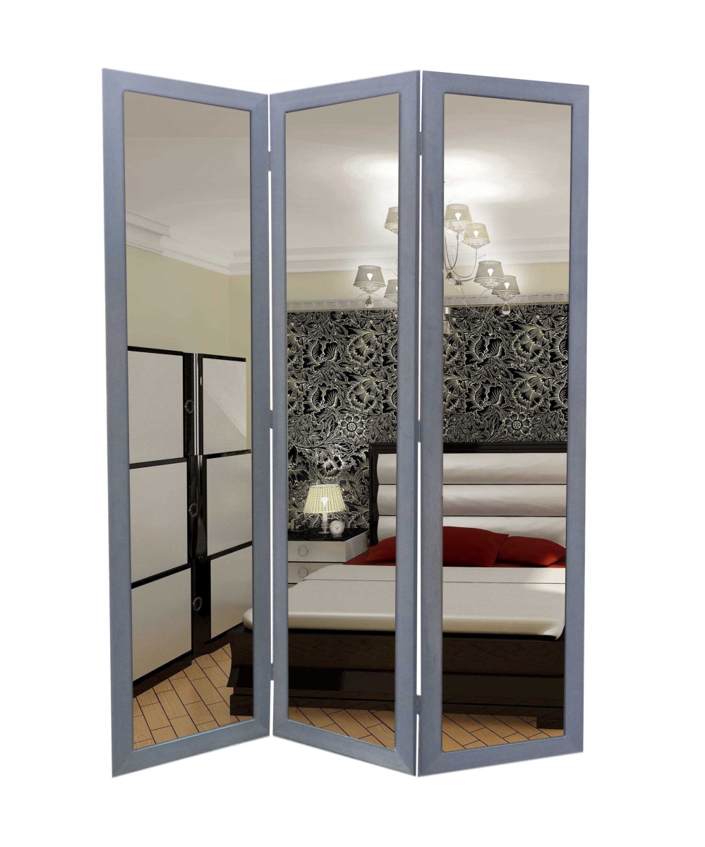 1 x 50 x 69 in. Glass & Wood Mirror Screen, Gray