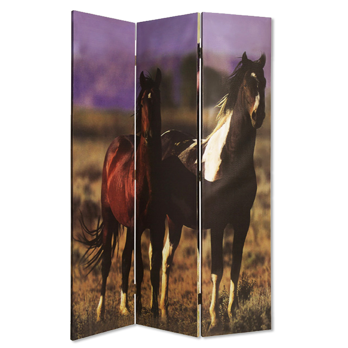 1 x 48 x 72 in. Canvas Screen with Nurturing Mare, Multi Color