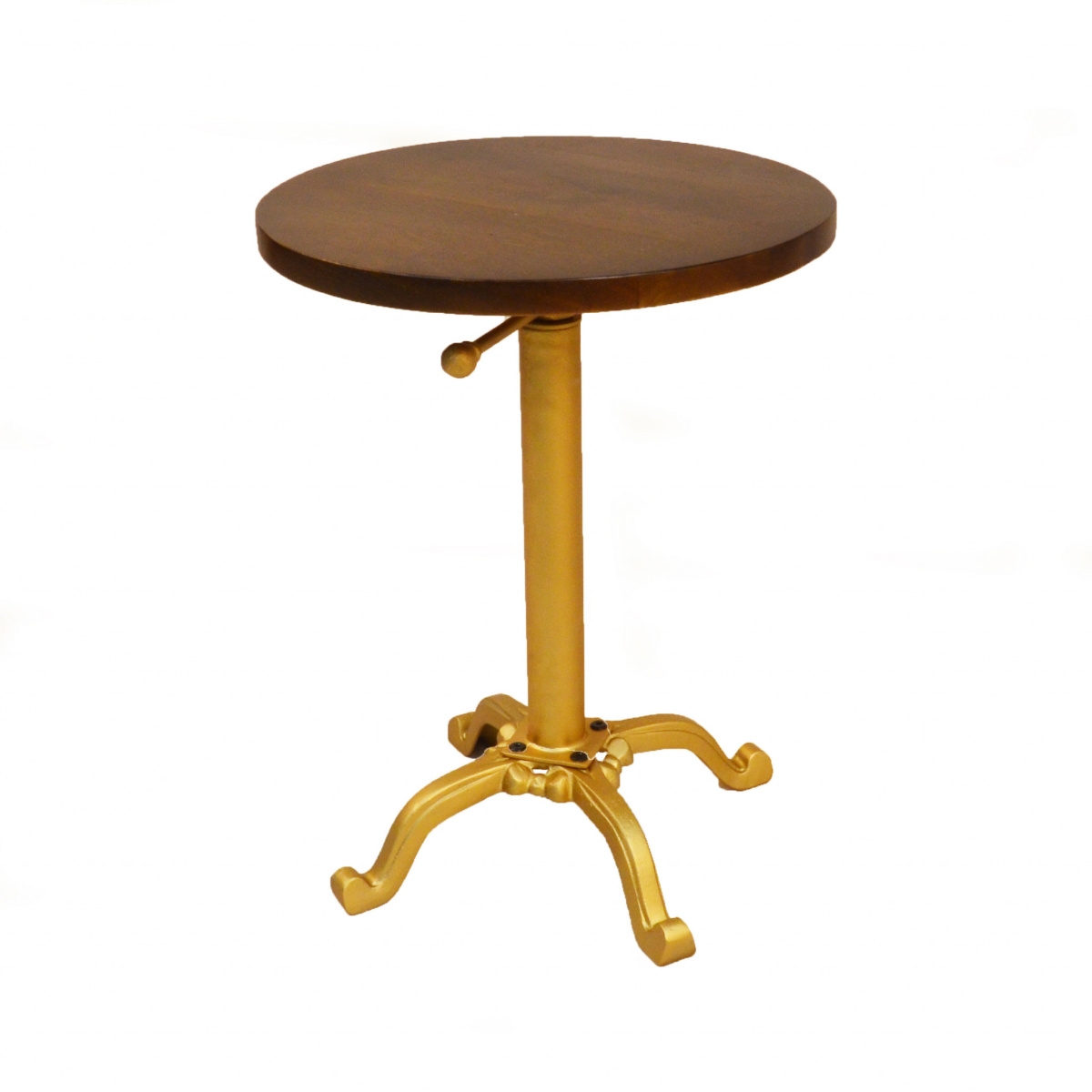 22 x 18 x 18 in. Gold & Elm Solid Wood Round End Table