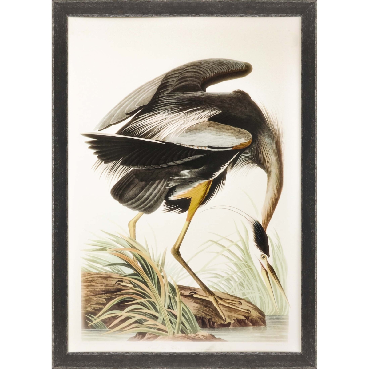 55 x 40 x 2 in. Great Blue Heron Framed Art Brown Picture Frame Print Wall Art