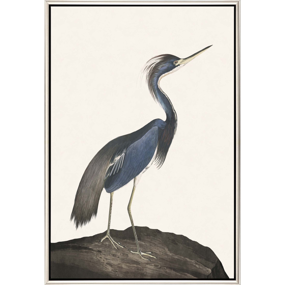 50 x 34 x 3 in. Great Heron I Canvas Silver Floater Frame Print Wall Art