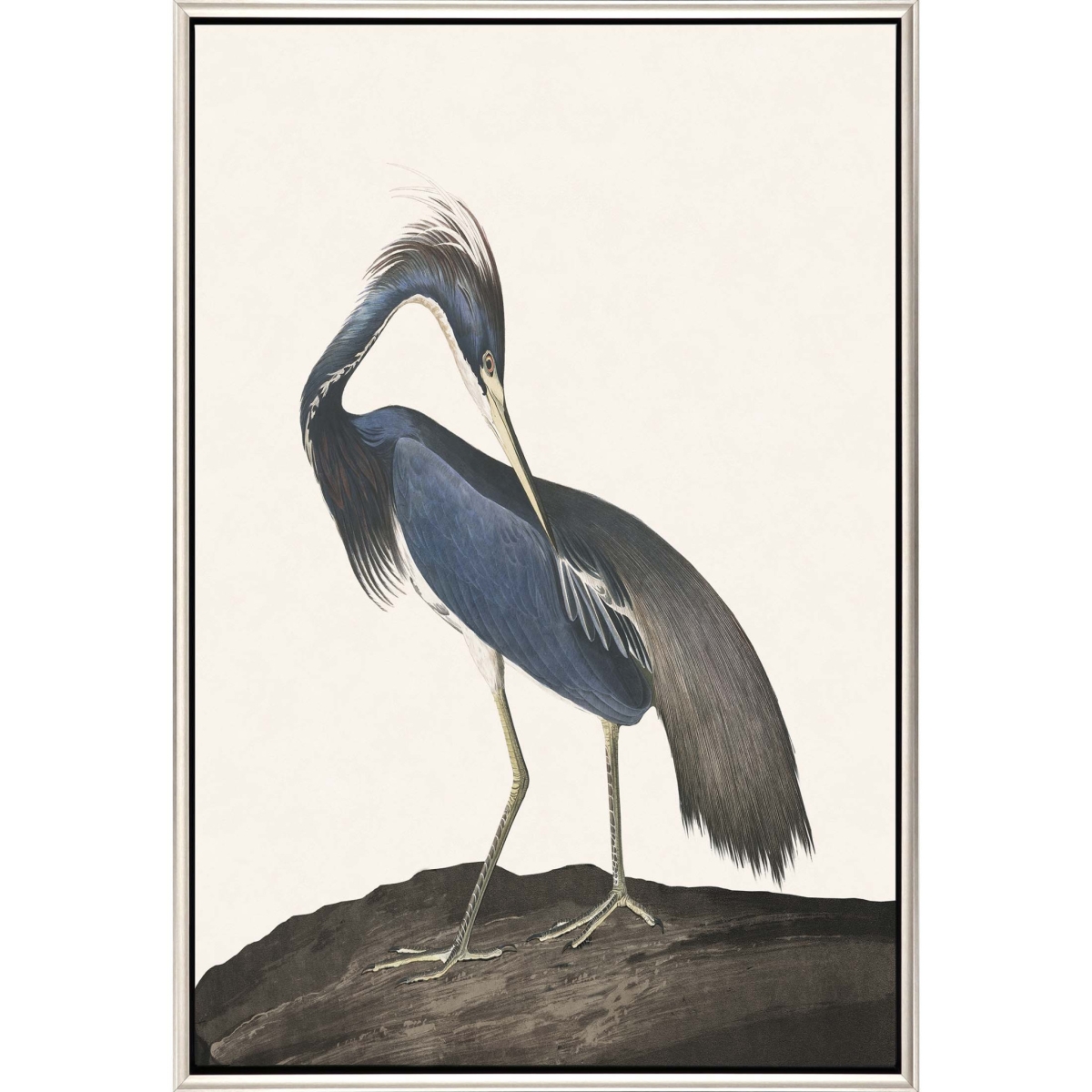 50 x 34 x 3 in. Great Heron II Canvas Silver Floater Frame Print Wall Art