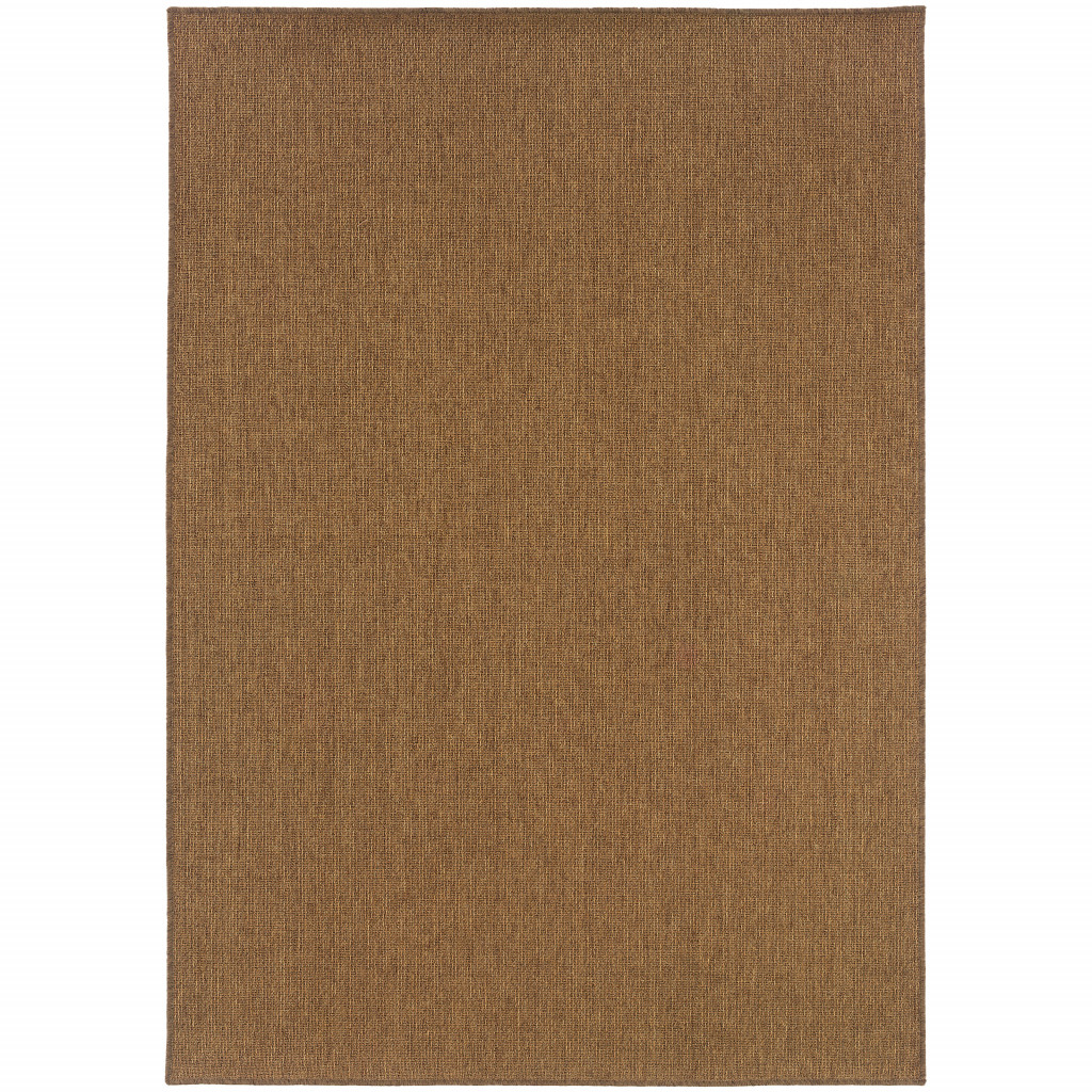 505573 5 x 8 ft. Tan Stain Resistant Indoor & Outdoor Rectangle Area Rug
