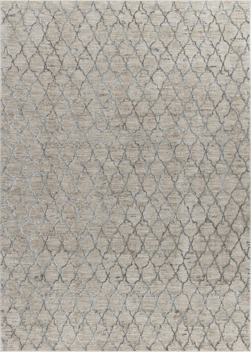 490425 5 x 8 ft. Beige Moroccan Stain Resistant Rectangle Area Rug