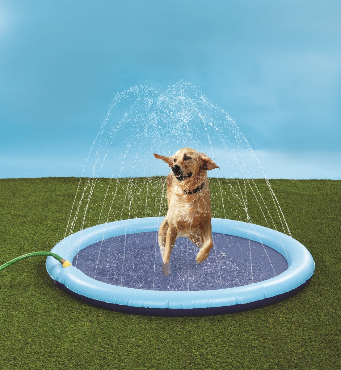 Picture of 212 Main 5297 Sprinkler Pals Dog Pool