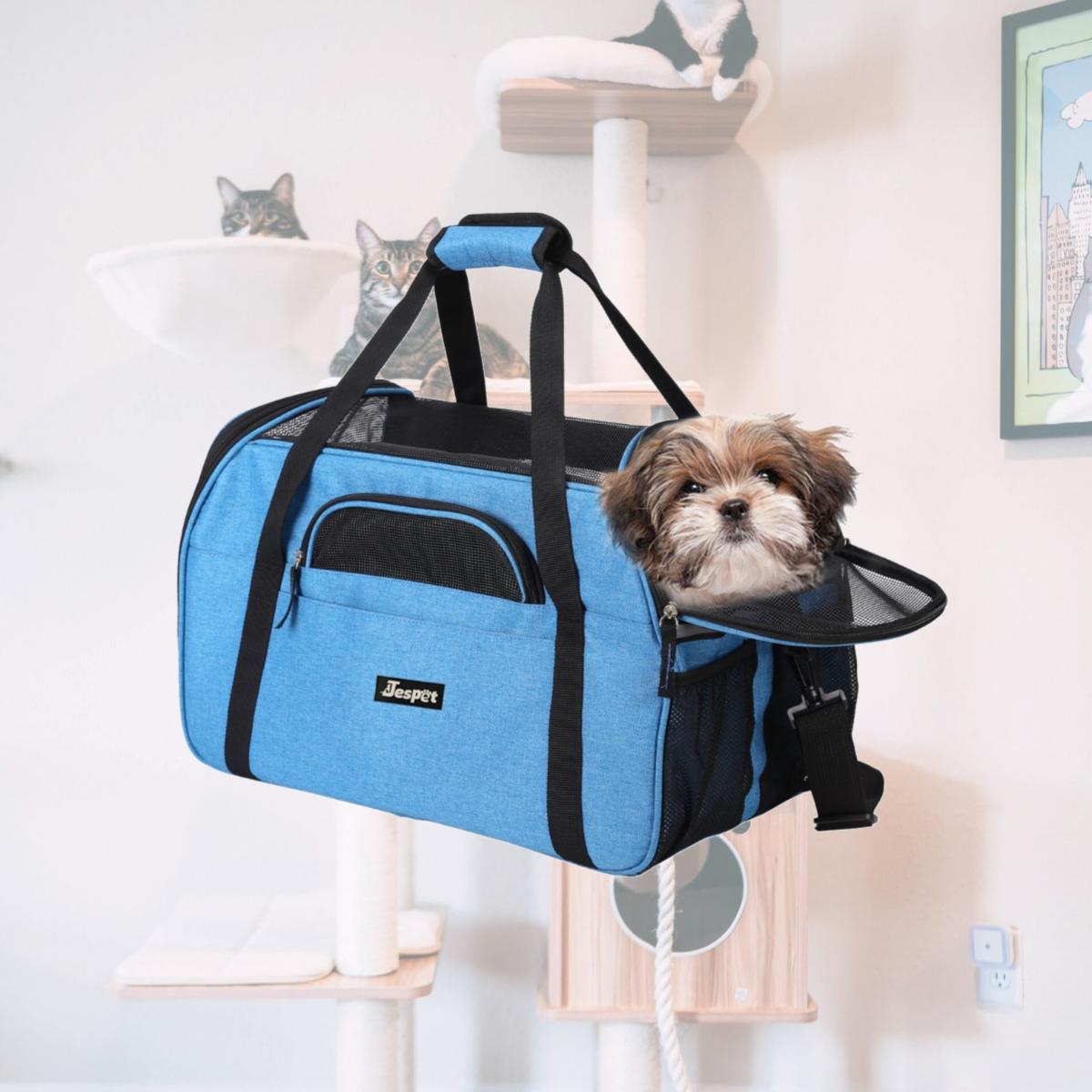 Picture of 212 Main PBC-8648TQ Soft Pet Carrier, Turquoise - Large