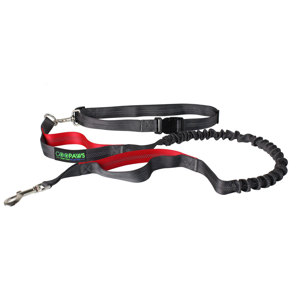 Picture of 212 Main HBL-48RD 4 ft. Hands-free Bungee Leash&#44; Red