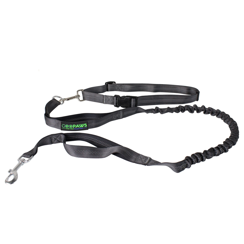Picture of 212 Main HBL-48BK 4 ft. Hands-free Bungee Leash&#44; Black