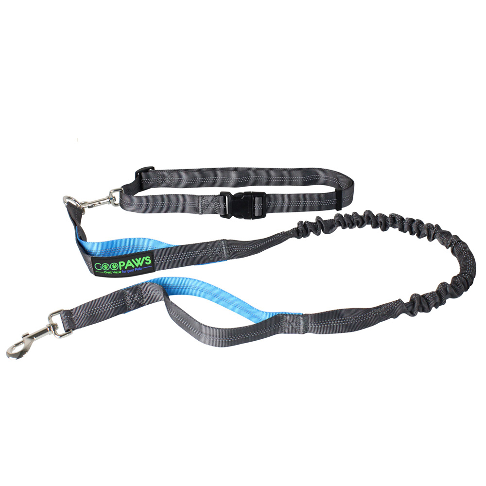 Picture of 212 Main HBL-48BU 4 ft. Hands-free Bungee Leash, Blue