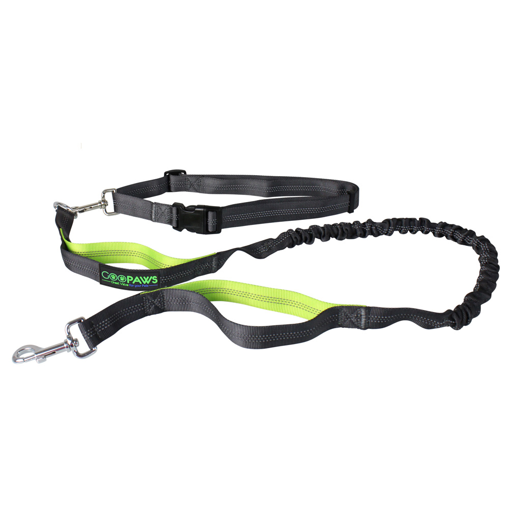 Picture of 212 Main HBL-48GR 4 ft. Hands-free Bungee Leash&#44; Green
