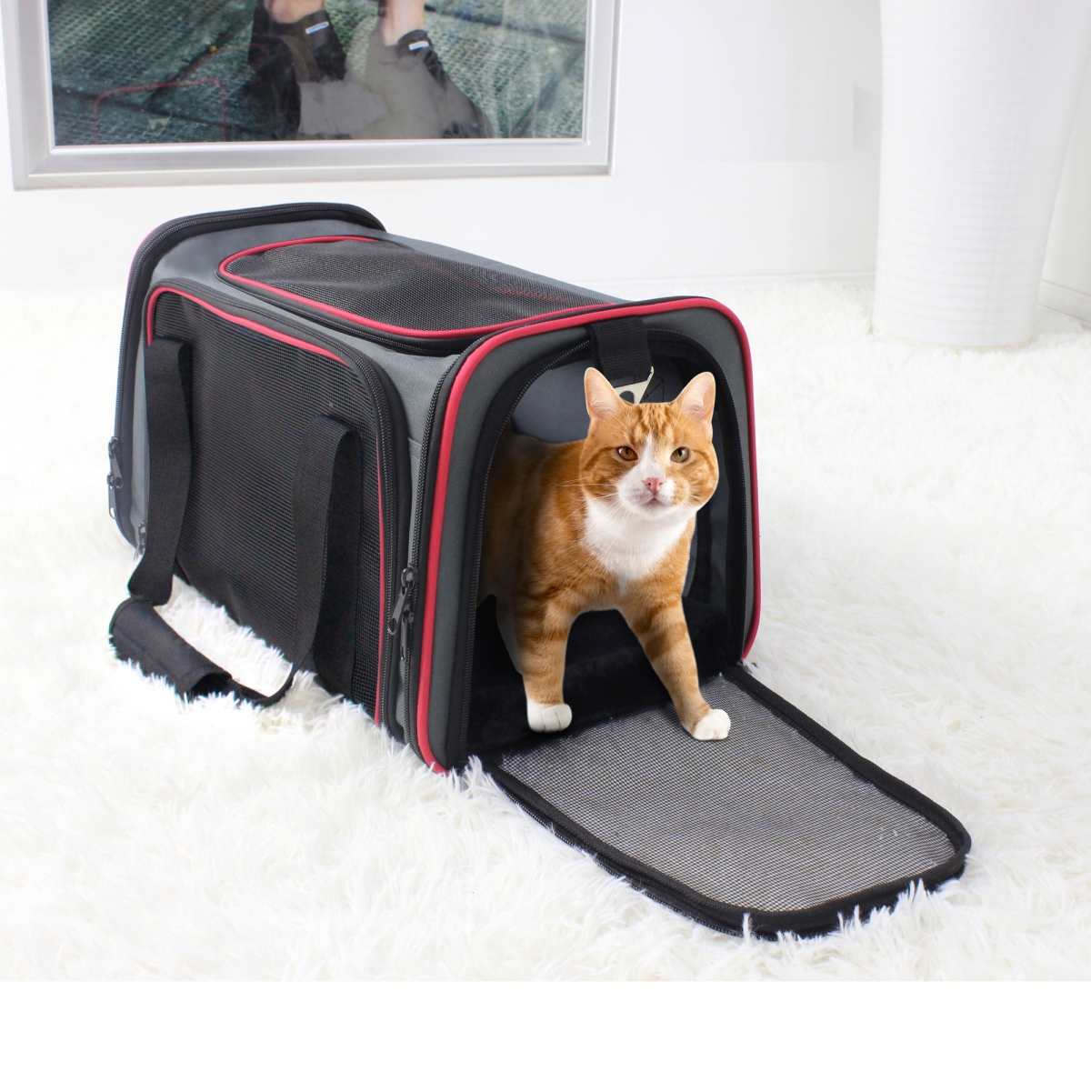 Picture of 212 Main PTC-1710GRD Goopaws Soft Sided Pet Carrier&#44; Gray & Red