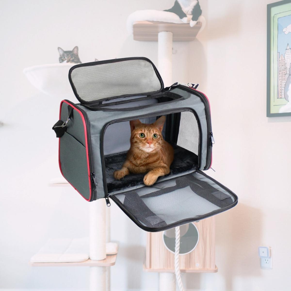 Picture of 212 Main PTC-1710GRD Goopaws Soft Sided Pet Carrier&#44; Gray & Red