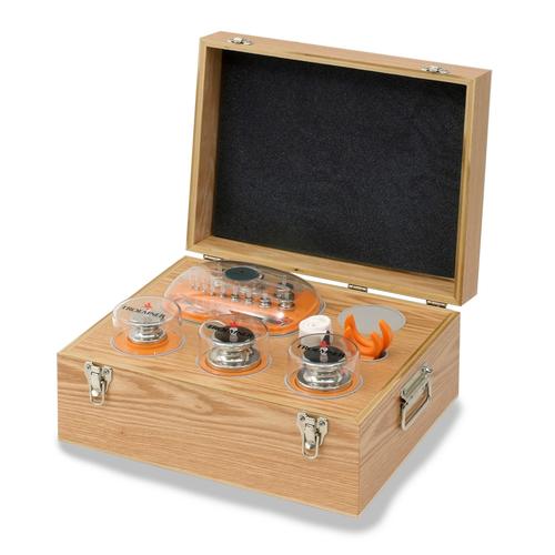 2 kg-1 g Class E1 Metric Weight Set - 15 Piece, Set of 2