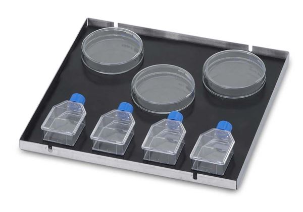 46 x 61 cm Culture Platform with Mat