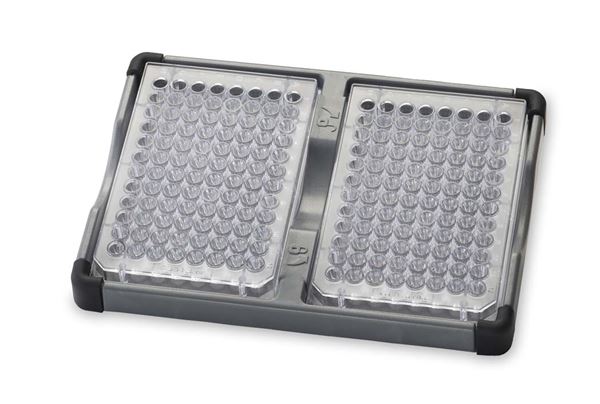 30400213 Double Microplate Holder