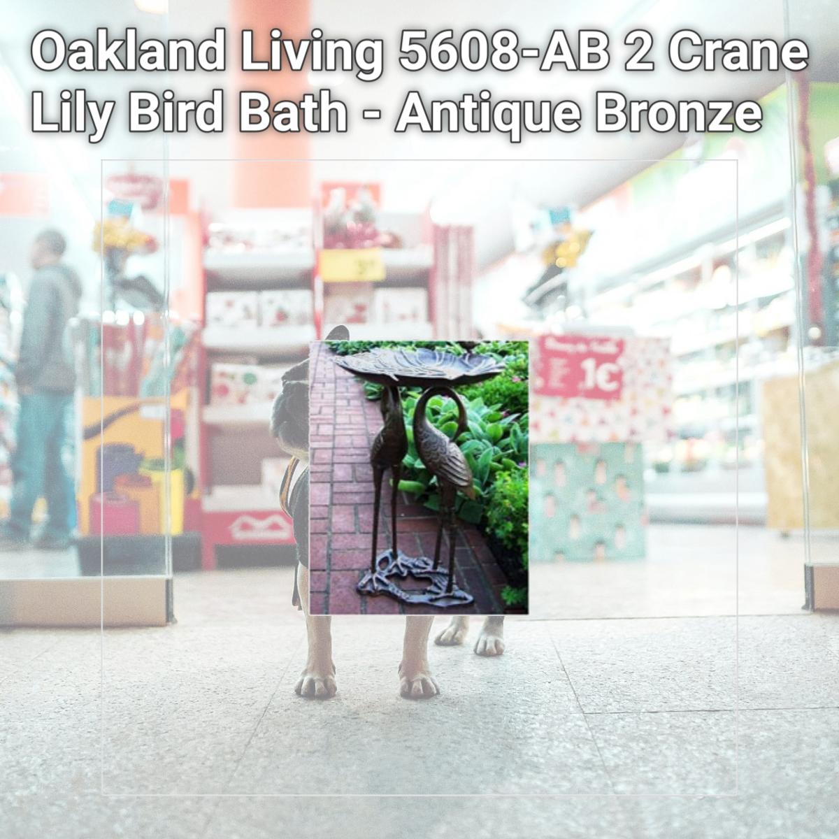 Picture of Oakland Living 5608-AB 2 Crane Lily Bird Bath - Antique Bronze