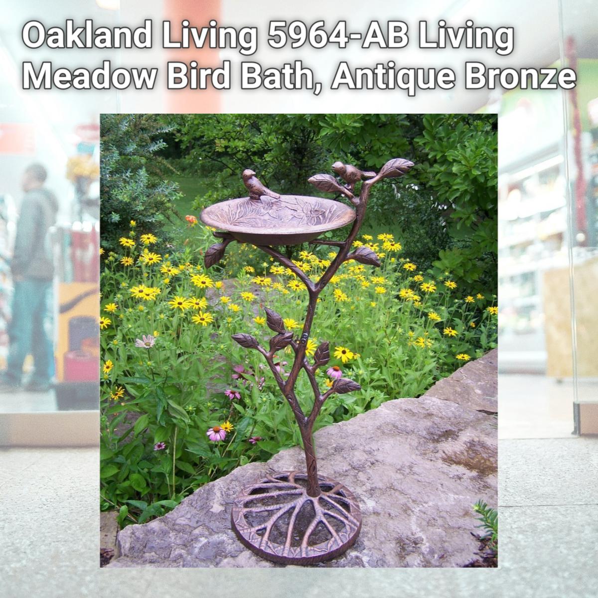 Picture of Oakland Living 5964-AB Living Meadow Bird Bath, Antique Bronze