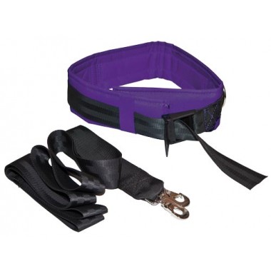 Picture of Olympia Sports GY971M Spotting &amp; Training Belt - Small (Purple)