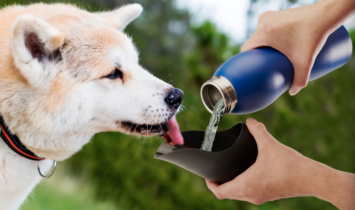 MDG0325 25 oz Water Bottle